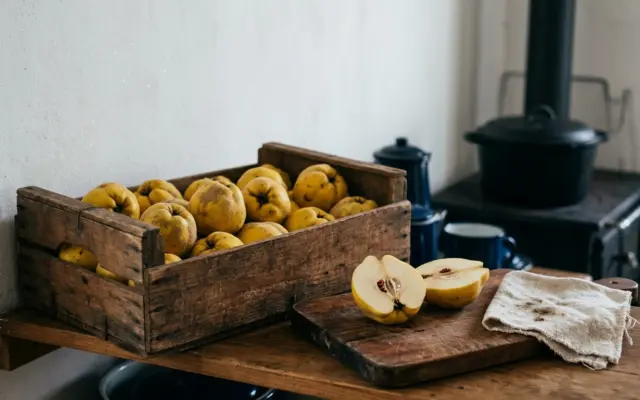 Quitten verarbeiten: hart, herb und unentbehrlich
